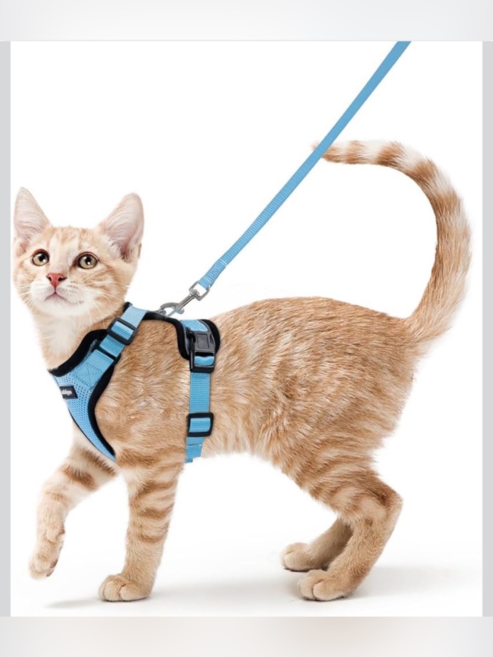 0097: NWOT Light Blue Cat Harness and Leash Set - Adjustable Comfort Fit